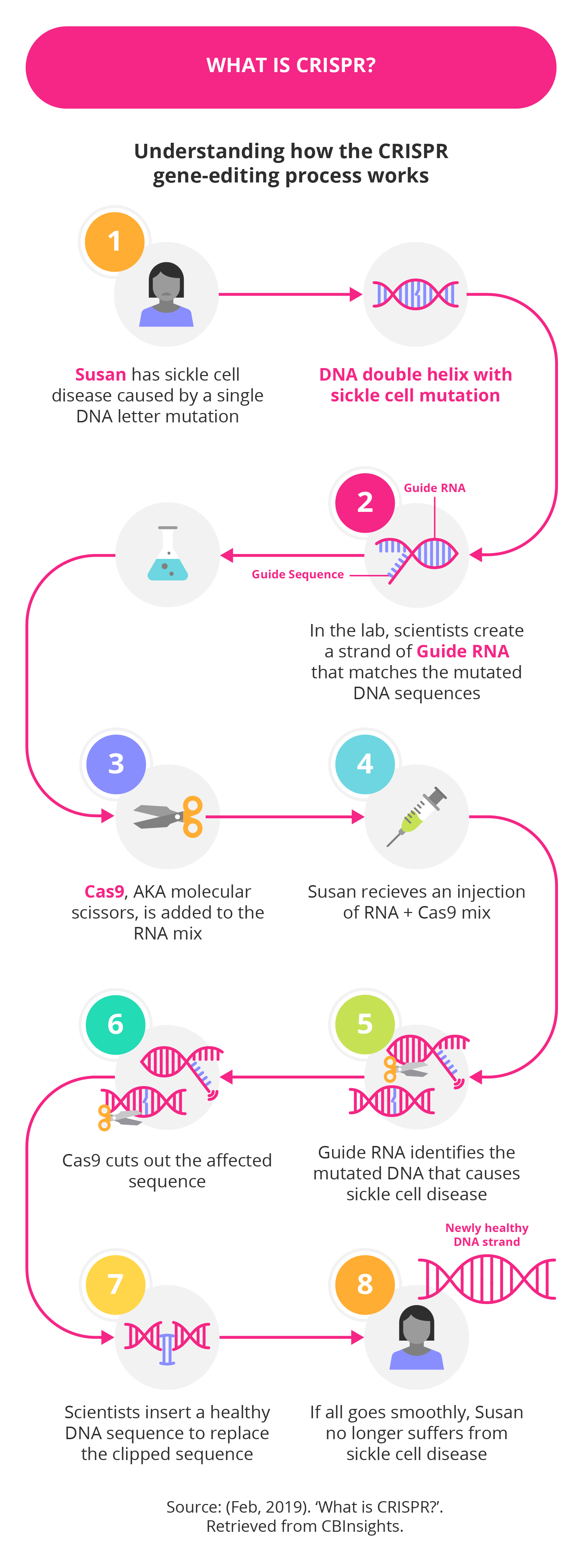 Illustration depicting the three key components of CRISPR: guide RNA, Cas9, and new DNA.